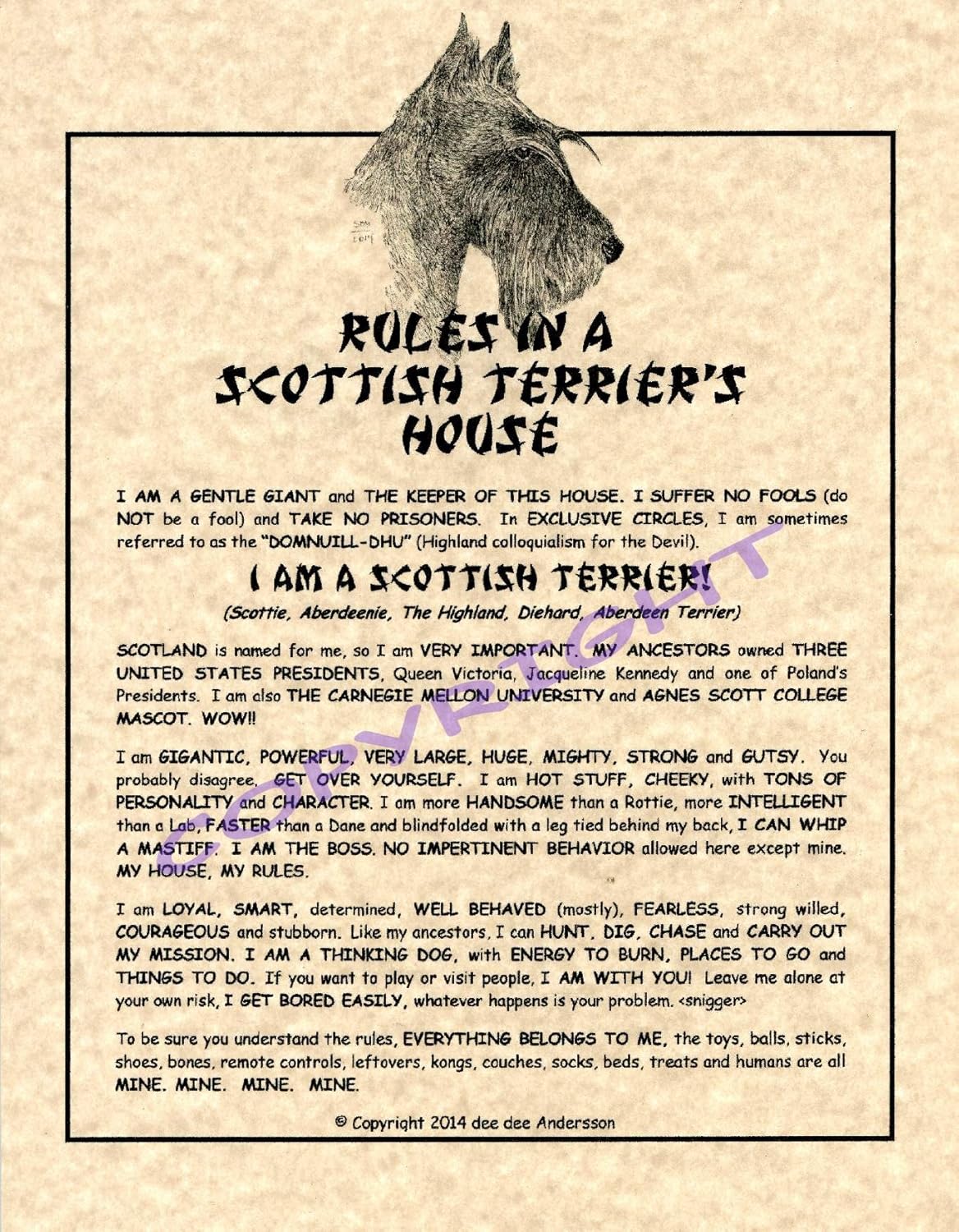 Amazoncom Rules In A Scottish Terriers House Posters