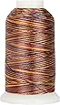 Amazon.com: Variegated Polyester Embroidery Thread - 40wt - 1000m - 25 ...