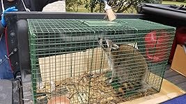 Review Image by J. Irby