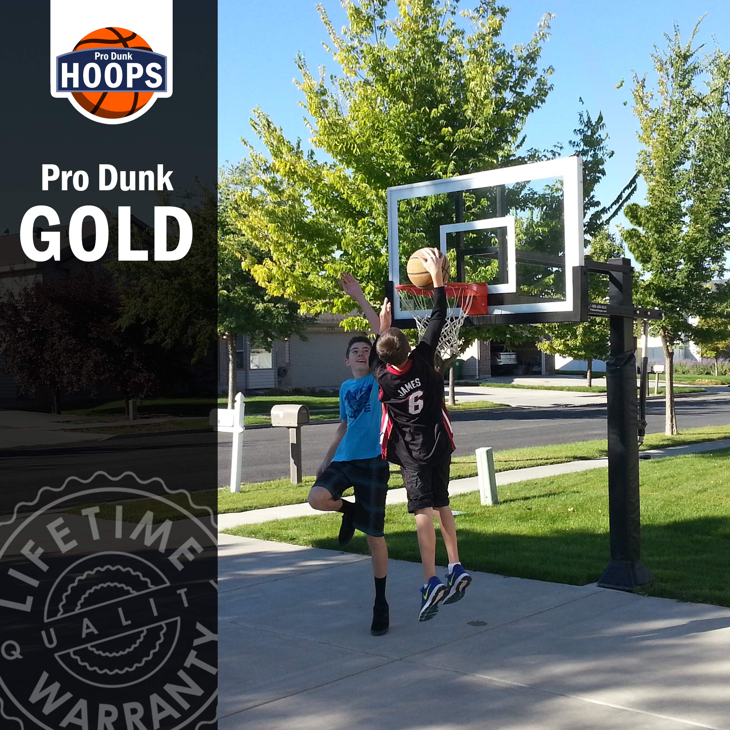 pro dunk basketball