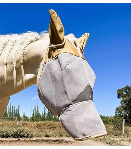 Se Ci Sono Le Mosche In Febbraio, Bisogna Scaldarsi Le Orecchie A Marzo - Foto 3