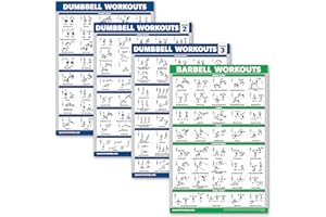 Palace Learning 4 Pack - Dumbbell Workout Posters Volume 1, 2 & 3 + Barbell Exercise Chart - Set of 4 Posters (LAMINATED, 18" x 24")