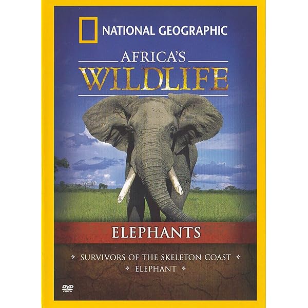 その他 Africa&#39;s Elephant Kingdom [DVD] Africa's Elephant Kingdom [DVD]: Amazon.co.uk: Tom Cowan