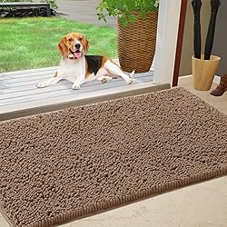 IM HOME Chenille Absorbent Outdoor Doormat 48" x