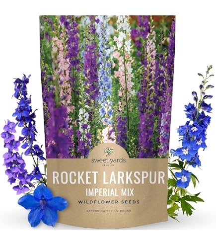Amazon.com : Non GMO Bulk Rocket Larkspur 'Giant Imperial Mix