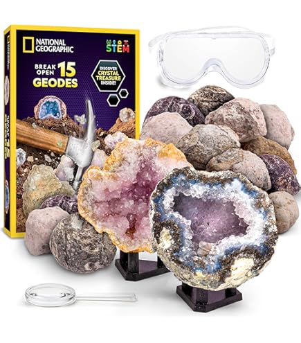 Amazon.com: Wow in The World – 10 Real Break-Open Crystal Geodes
