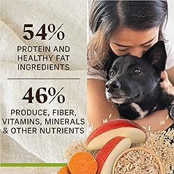Merrick Healthy Grains Premium Adult Dry Dog