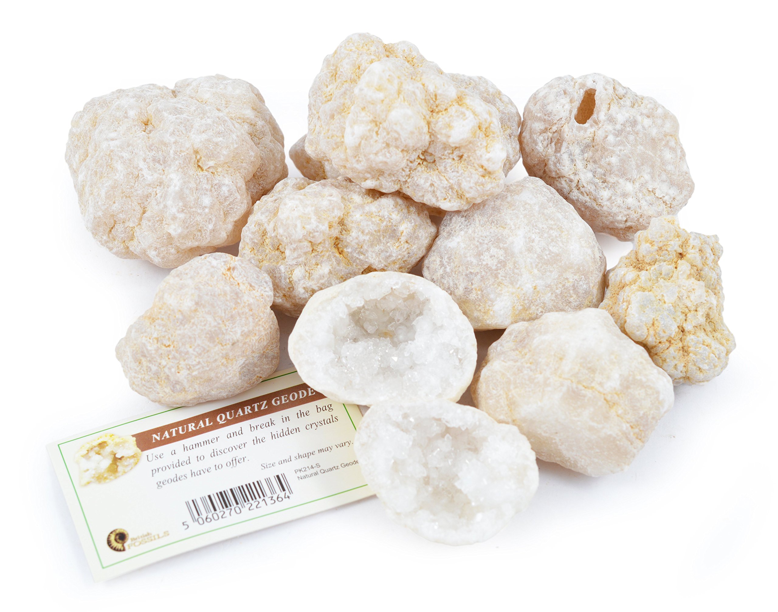 Break Your Own Geodes - Pack of 10