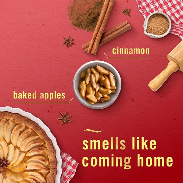 FEBREZE ODOR-FIGHTING FADE DEFY PLUG AIR FRESHENER BAKED CINNAMON APPLE, CRANBERRY CRUMBLE, .87 FL. OZ. OIL REFILL, 2 OF EACH