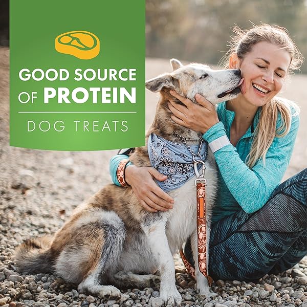 PUR LUV CHICKEN WRAPPED SWEET POTATO DOG TREATS, RAWHIDE FREE JERKY WRAPS, MADE WITH REAL CHICKEN, 16 OZ, HEALTHY, EASILY DIGESTIBLE, LONG LASTING, HIGH PROTEIN TREAT, SATISFIES DOG’S URGE TO CHEW