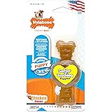 Nylabone Puppy Chew Ring Bone Chicken Flavor X-Small/Petite - Up to 15 lbs.