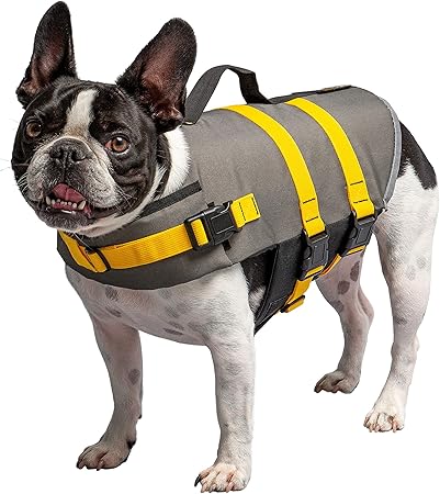 small dog life vest