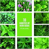 Scott&Co Herb Seed Variety Pack UK Planting Basil Chives Parsley Coriander view 3