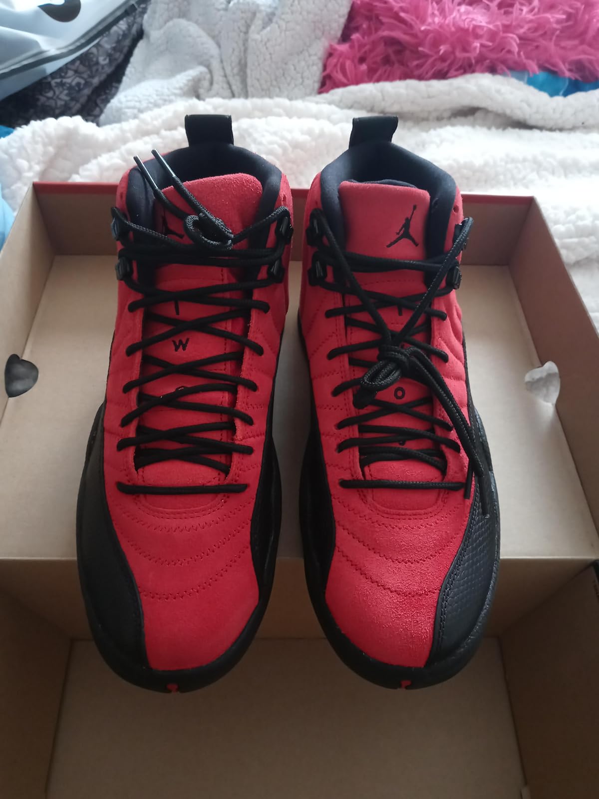 toro 12s jordan