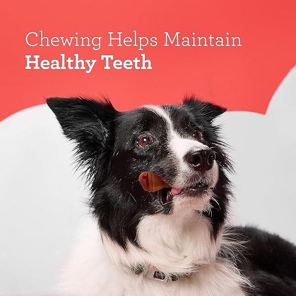 DREAMBONE MINI CHEWS, MADE WITH REAL BEEF, RAWHIDE-FREE CHEWS FOR DOGS, 24 COUNT