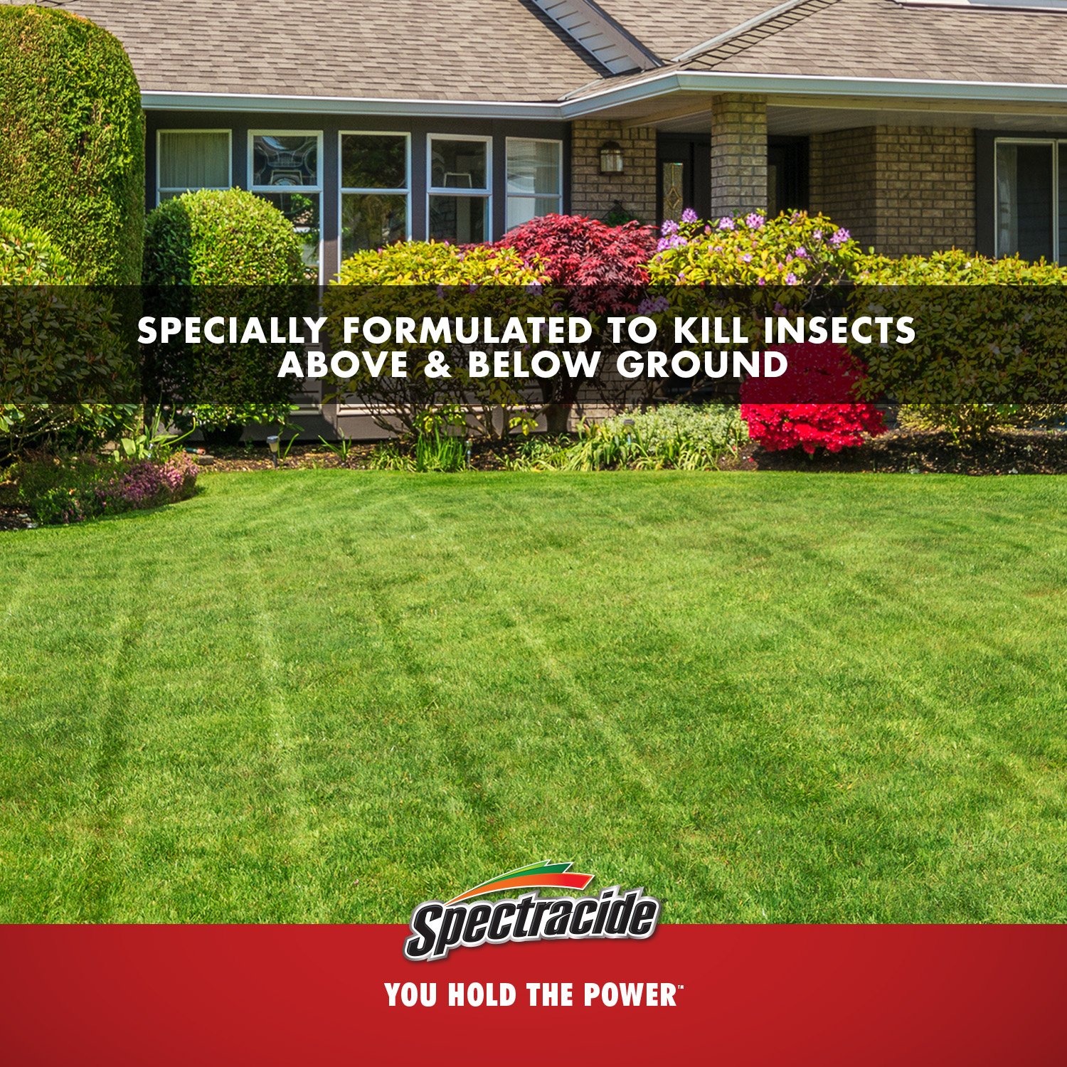 Amazoncom Spectracide Triazicide Insect Killer For Lawns