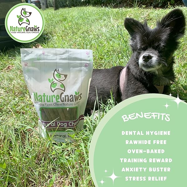 NATURE GNAWS BEEF CHEW STICKS FOR DOGS 1LB – PREMIUM NATURAL DOG TREATS – LIMITED INGREDIENT LONG LASTING RAWHIDE FREE DENTAL CHEWS