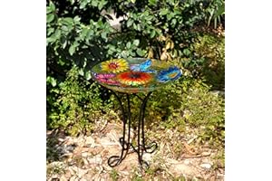 Hi-Line Gift 78415-C Solar Floral Glass Butterfly Bird Bath with Stand