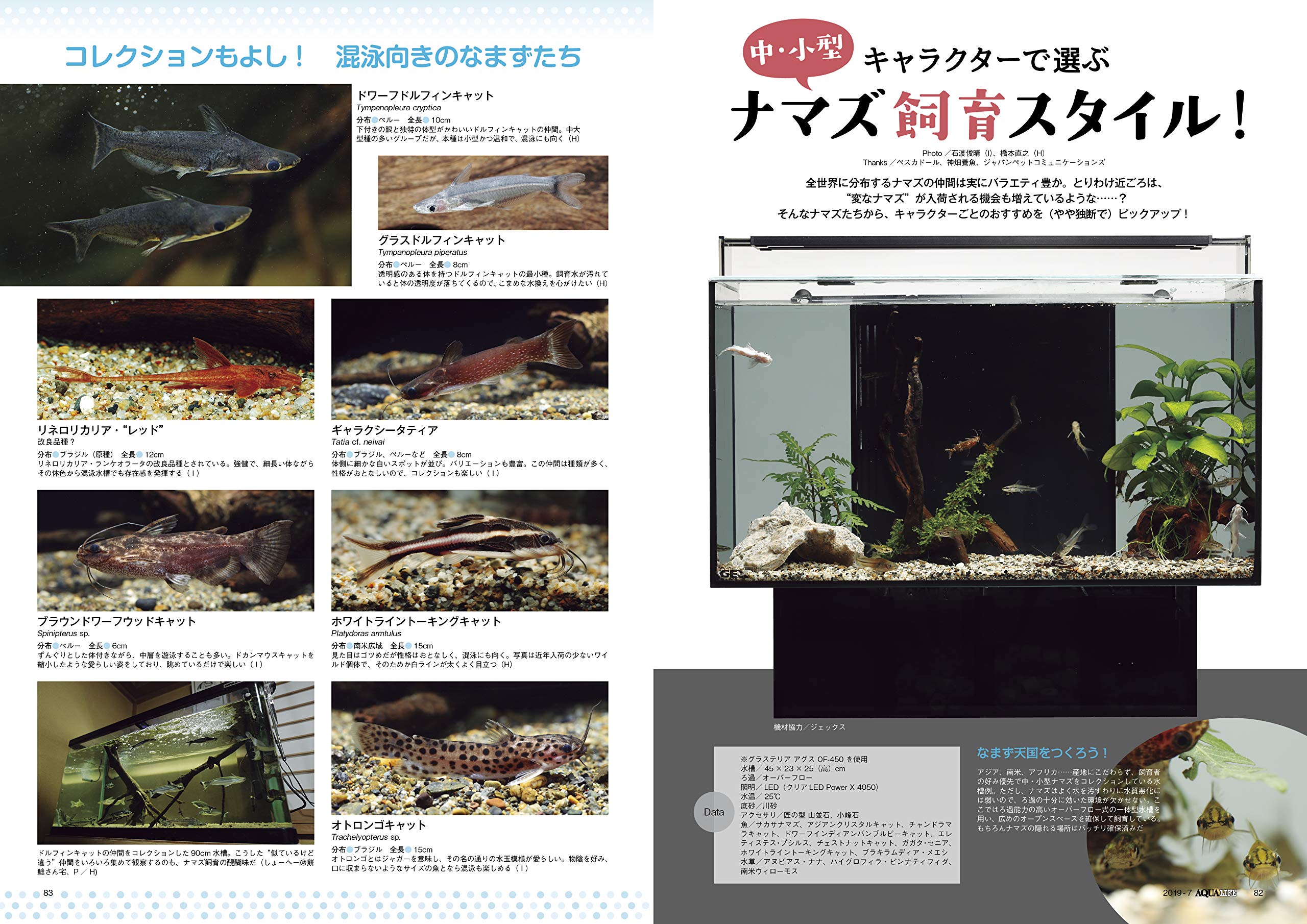 月刊アクアライフ 19年 07 月号 雑誌 Amazon Co Uk Books