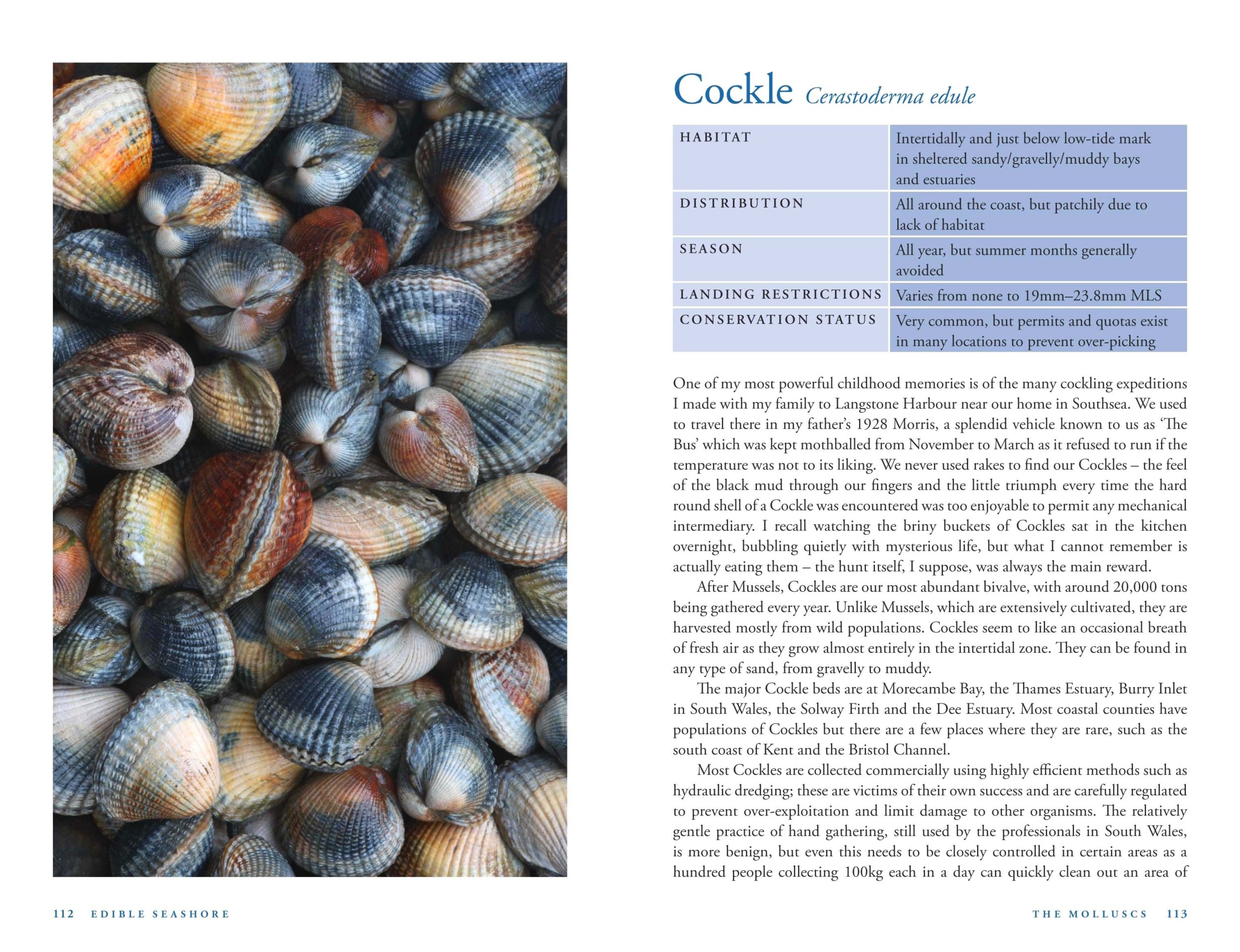 Edible Seashore River Cottage Handbook No 5 Amazon Co Uk John