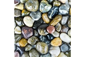 GALASHIELD 5 lbs Approx. 82 River Rocks Stones for Plants Pebbles for Indoor Plants | Aquarium Fish Tank Rocks | Polished Decorative Rocks for Vases (1.6-2.4 Inches)
