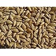 Barley 18 Lbs, Unhulled Barley (Hull Intact), Joseph's Grainery Whole Grain Barley, Non-GMO, Kosher Certified