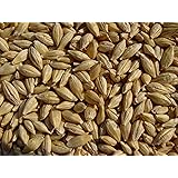 Barley 12 Lbs, Unhulled Barley (Hull Intact), Joseph's Grainery Whole Grain Barley, Non-GMO, Kosher Certified