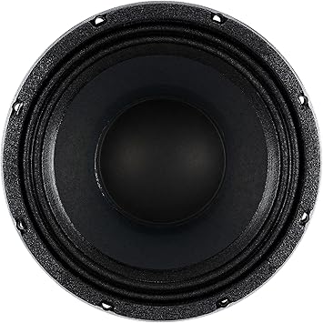 10 inch neodymium speakers