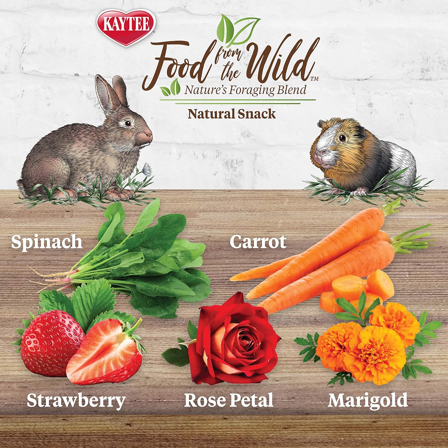 Kaytee Food from The Wild Natural Snack, 1 Ounce : Pet Supplies