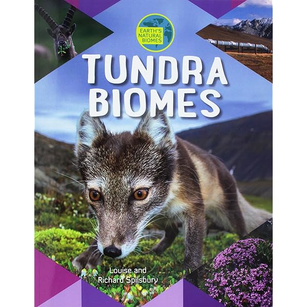 英語版　Taiga Taiga (Biomes of the World): Kaplan, Elizabeth: 9780761401353