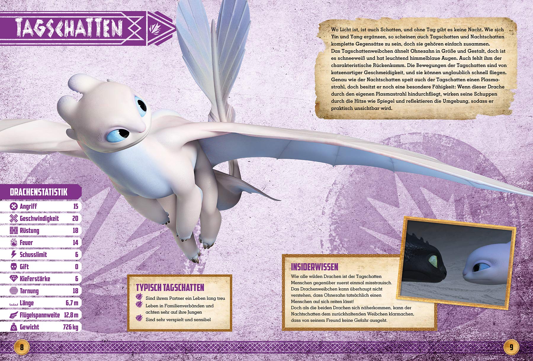 Was Jeder Wissen Sollte Dragons Ausmalbilder Tagschatten Und Ohnezahn 