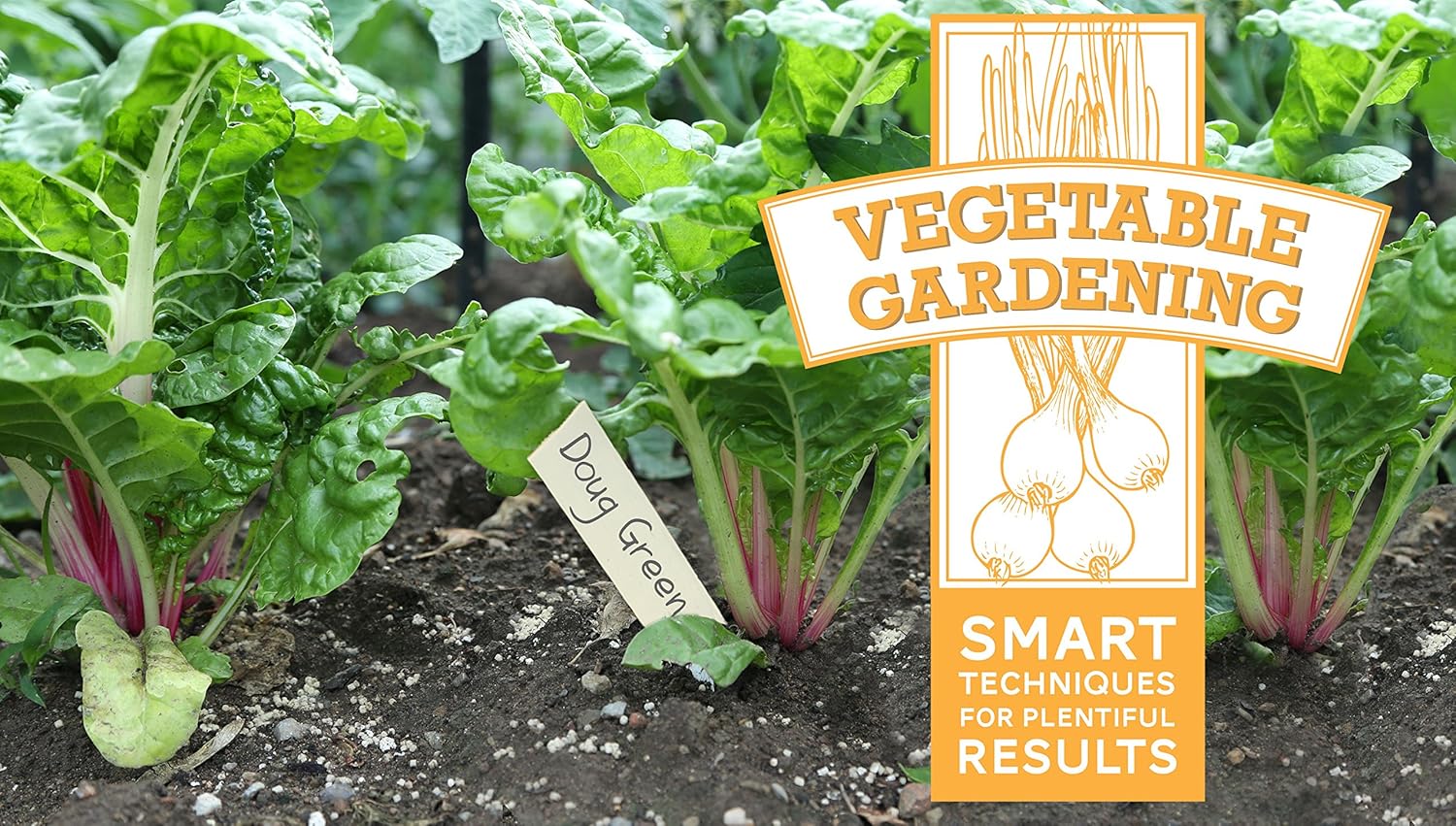 Best Stepped Raised Garden Bed