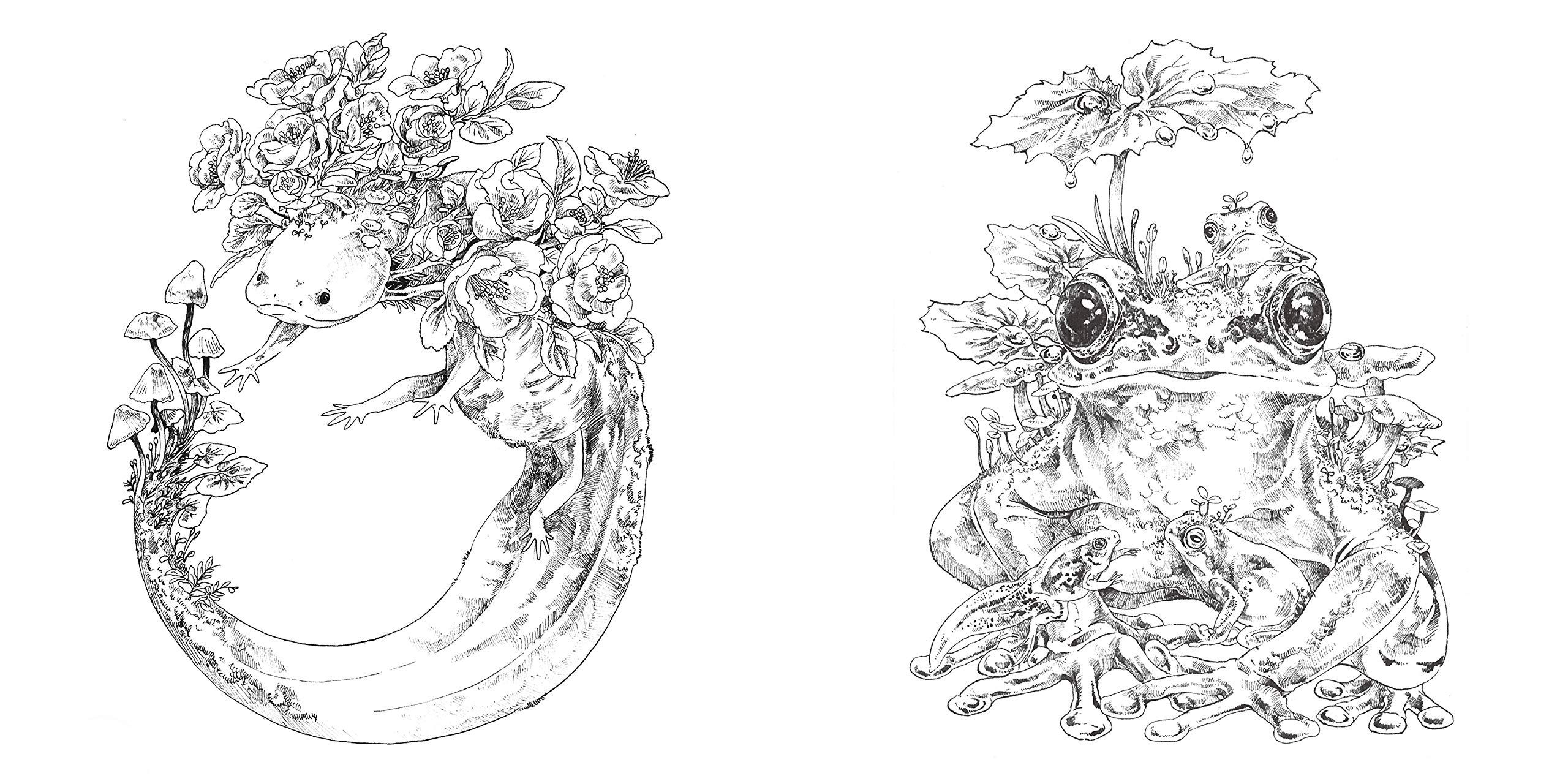 Amazon Co Jp マツダケン塗り絵集 マツダケン Japanese Books