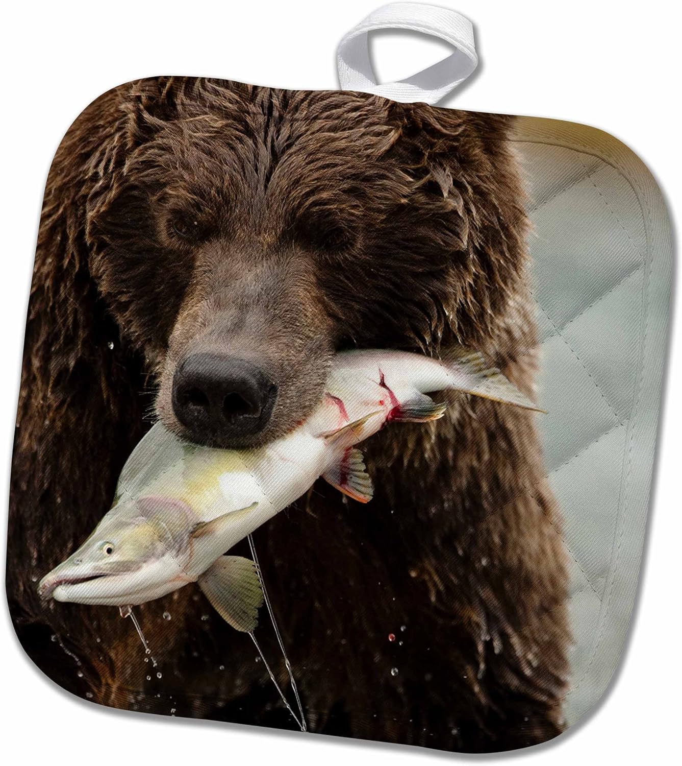 Amazon 3drose Danita Delimont Bears ブラウンbear Halloベイ カトマイ国立公園 アラスカ Us02 Jmc0008 ジョー とメアリーアンmcdonald 鍋つかみ 8x8 Potholder Phl 1 鍋つかみ ミトン オンライン通販