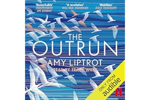 The Outrun