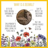 Seedball Bee Mix Wildflower Seed Bombs Pack of 3, 18 Balls UK Native view 5