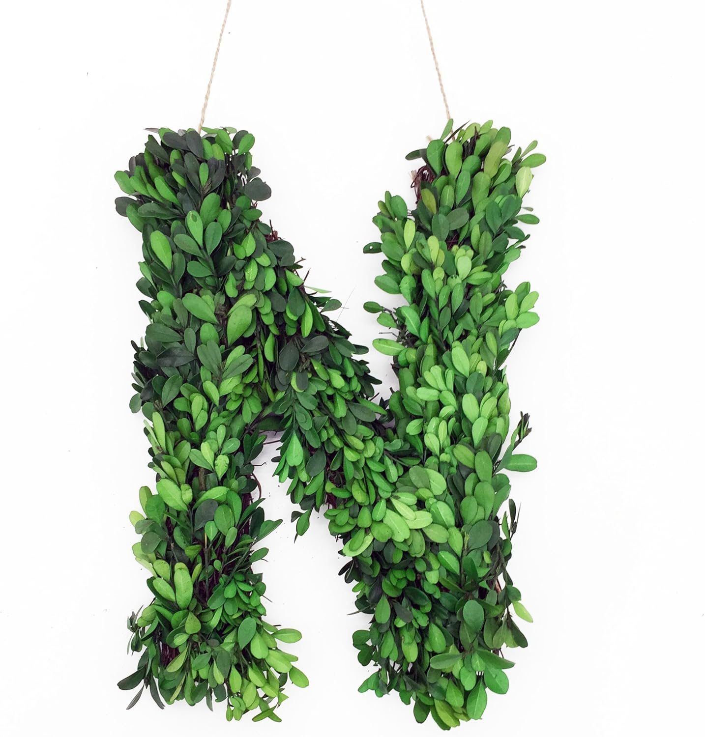Modern Home 12" Real Preserved Boxwood Monogram Wreath Letters - N