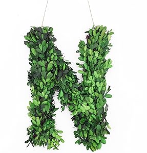 Modern Home 12" Real Preserved Boxwood Monogram Wreath Letters - N