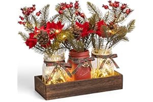 DUOER 3 Pcs Mason Jar Centerpiece Decorations for Christmas Table Decor Farmhouse Coffee Table Decor Christmas Kitchen and Room Decor,Red