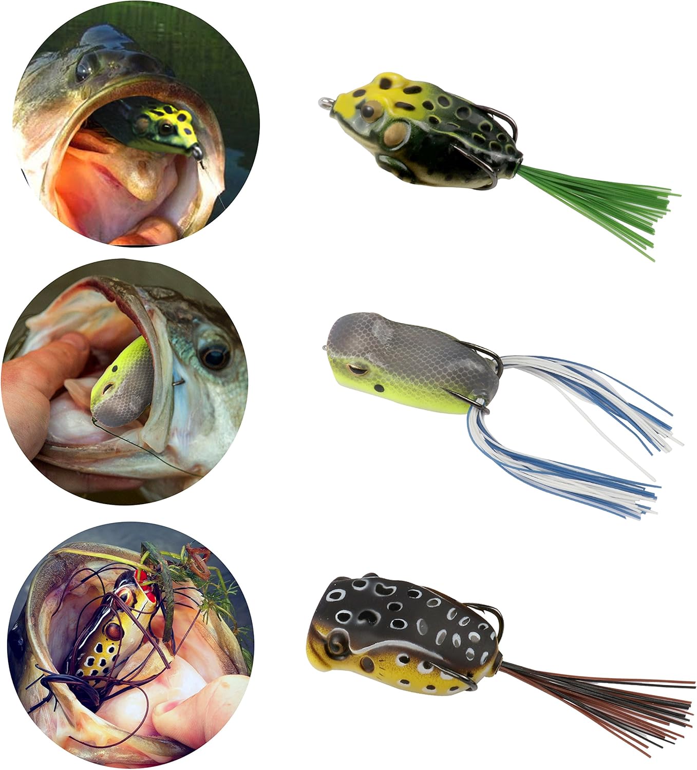 RUNCL Topwater Frog Lures, Soft Fishing Lure Kit with Tackle Box for Bass Pike Snakehead Dogfish Musky (Pack of 5) : Sports & Outdoors
