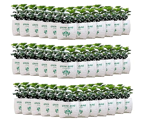 cheap grow bags online