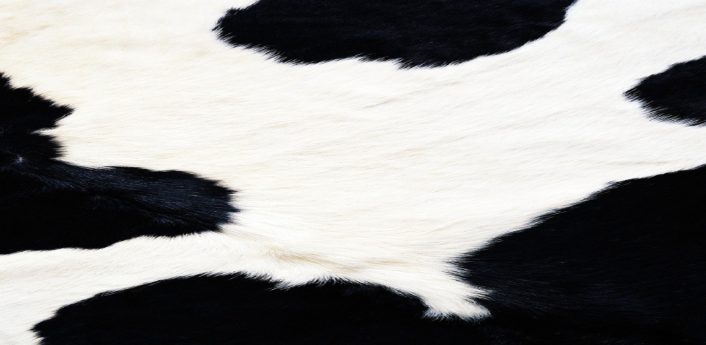 Amazon.com: Animal Print Wallpaper: Appstore for Android