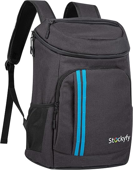 best insulated backpack cooler