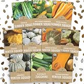 Organic Squash Seeds (Summer and Winter) Variety Pack - 10 Individual Packs - 2026 Season - Cocozelle, Spaghetti, Butternut, Golden Zucchini and More! for Indoor &amp; Outdoor Planting