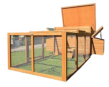 Pets Imperial Grand Poulailler Balmoral Contient Jusquà 8