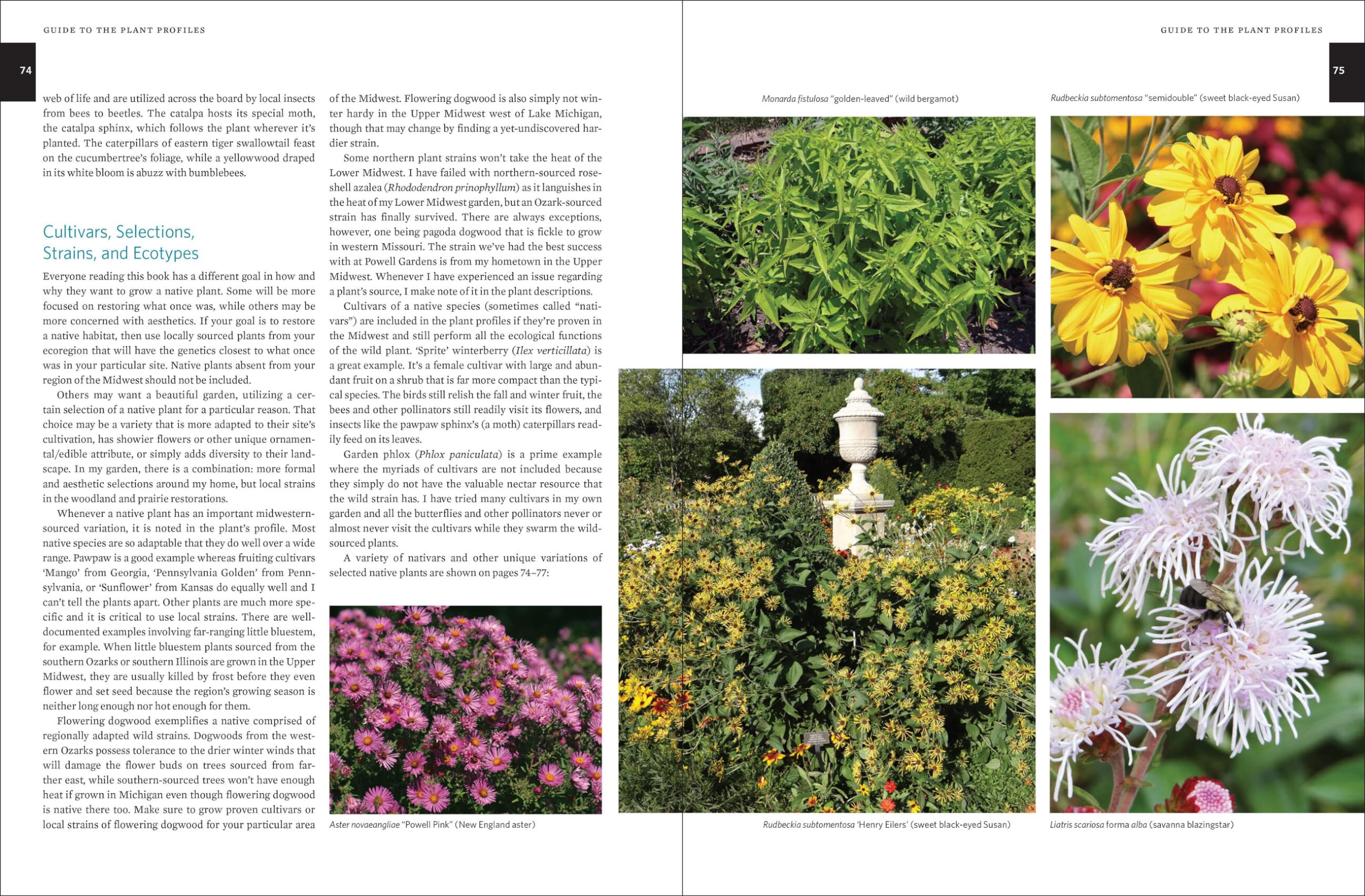 Native Plants of the Midwest: A Comprehensive Guide to the Best 500 Species for the Garden Native Plants of the Midwest: A Comprehensive Guide to the Best 500 Species for the Garden Native Plants of the Midwest: A Comprehensive Guide to the Best 500 Species for the Garden Hardcover Kindle