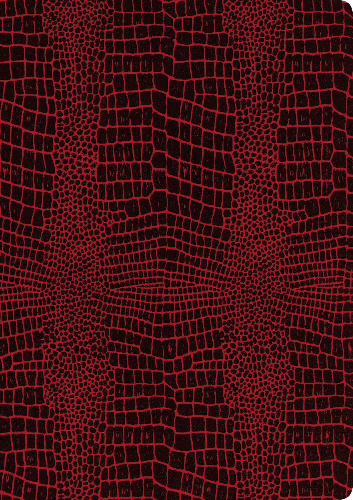 RNK Verlag 46215 Grace Sunrise Red Elegant Certificate Folder 225 x 310 mm for DIN A4 Pack of 1