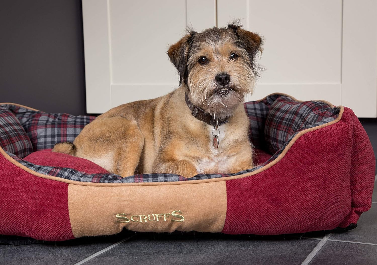 hill's prescription diet coupons