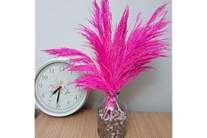 STLC CONCEPT Fuchsia Pink Pampas Grass Decor, Natural Dried Flowers, 17 inches, 10 Stems, Colorful Pompas Floral, Colored Feathers, Plants for Living Room Decor, Weddings (17” Fuchsia, 10 pcs)