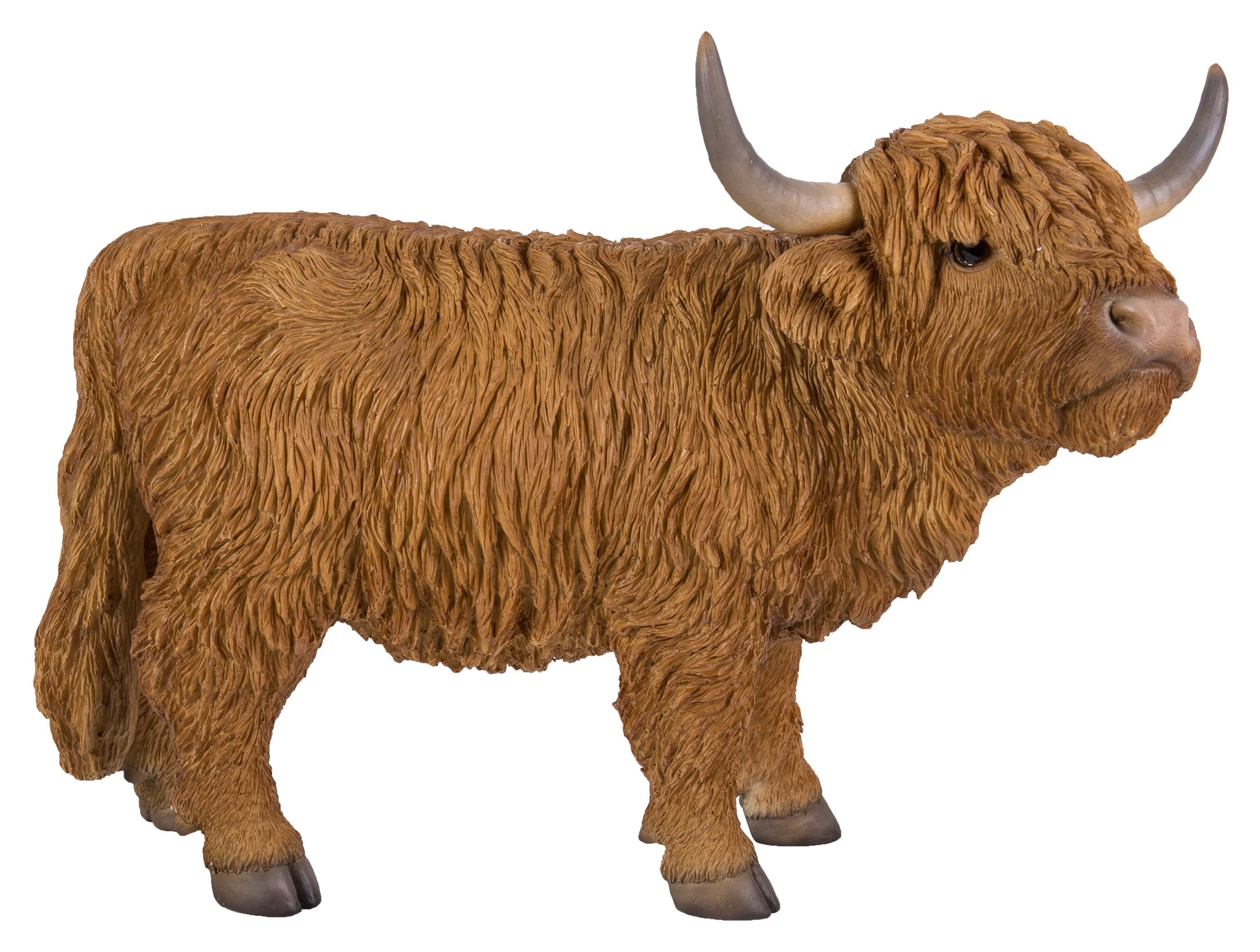 Vivid Arts - Real Life Highland Cattle Home or Garden Decoration (XRL-HLCA-D)